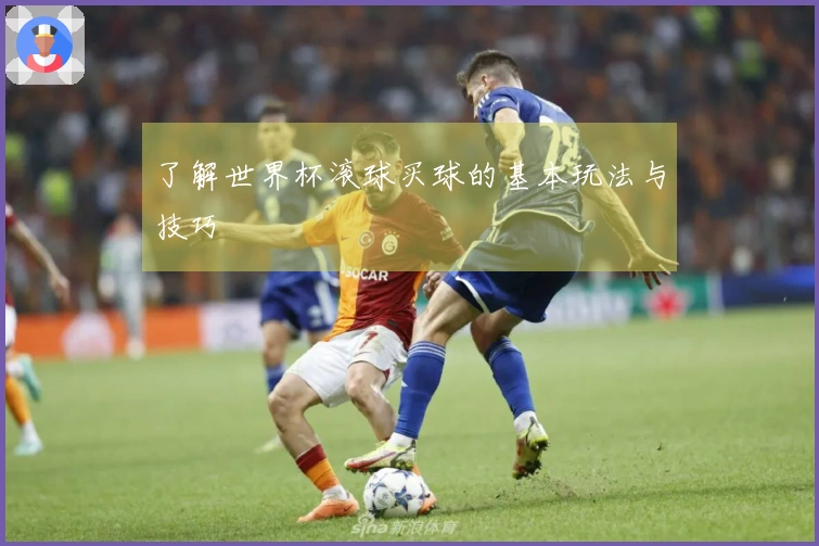 了解世界杯滚球买球的基本玩法与技巧