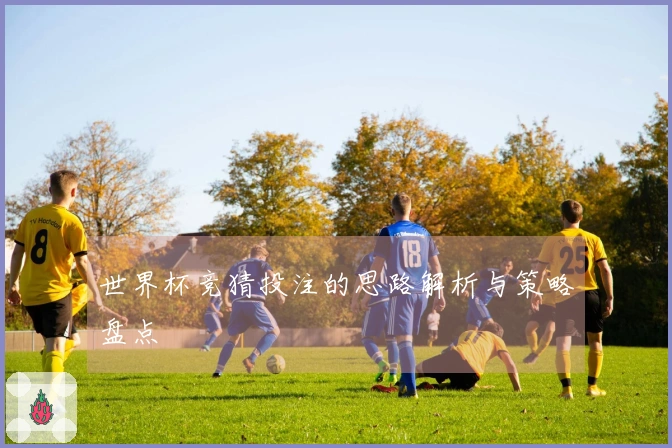 世界杯竞猜投注的思路解析与策略盘点