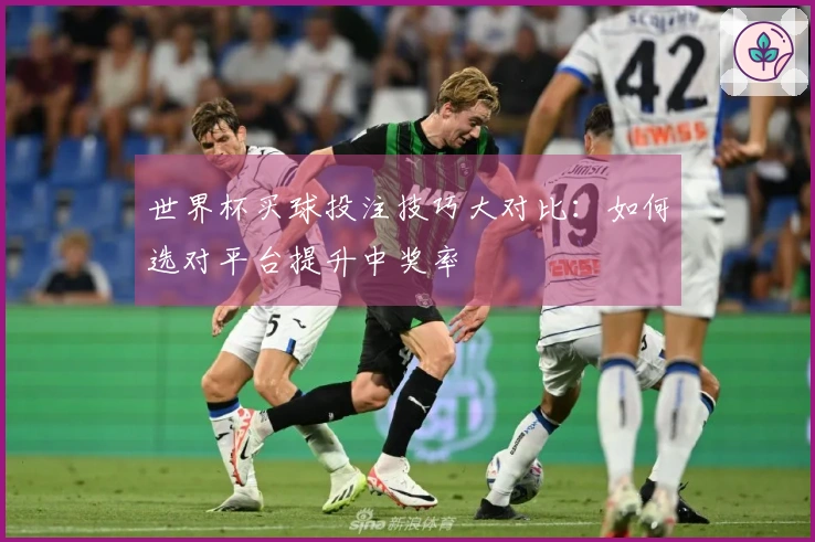 世界杯买球投注技巧大对比：如何选对平台提升中奖率